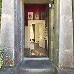Shannon River House & Gardens