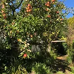 Shannon River House & Gardens * Limerick Junction