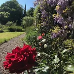 홈스테이 Shannon River House & Gardens *