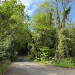 Shannon River House & Gardens Limerick Junction