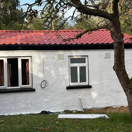 Homestay Shannon River House & Gardens Limerick