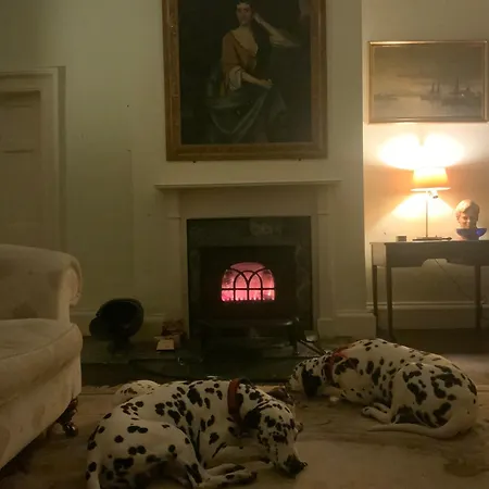 Accommodatie bij particulieren Shannon River House & Gardens *