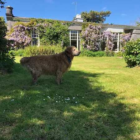 Shannon River House & Gardens Limerick