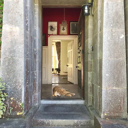 Shannon River House & Gardens