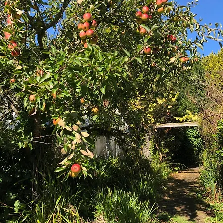 Shannon River House & Gardens * Limerick Junction