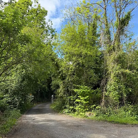 Shannon River House&gardens Limerick Junction