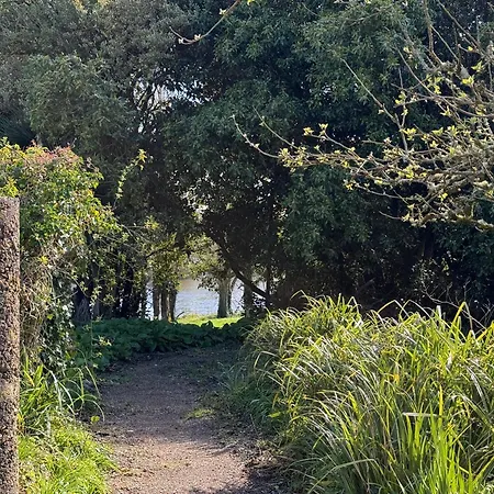 Shannon River House & Gardens Accommodatie bij particulieren