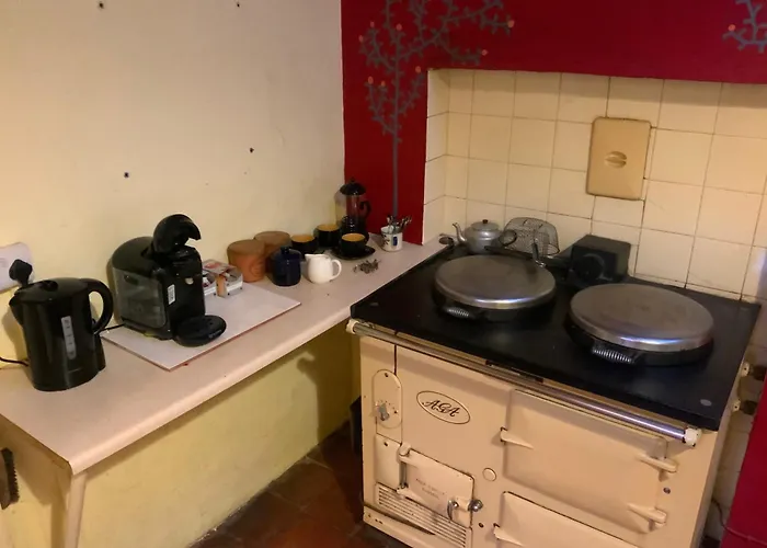 Shannon River House & Gardens * Limerick Junction