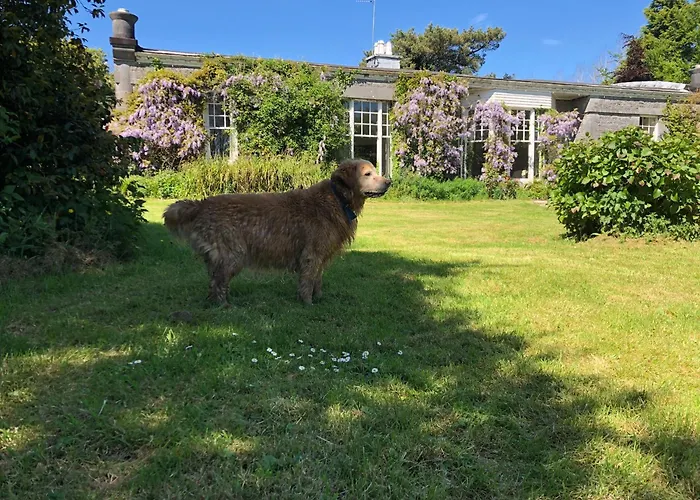 Shannon River House & Gardens Limerick Junction