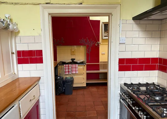 홈스테이 Shannon River House & Gardens