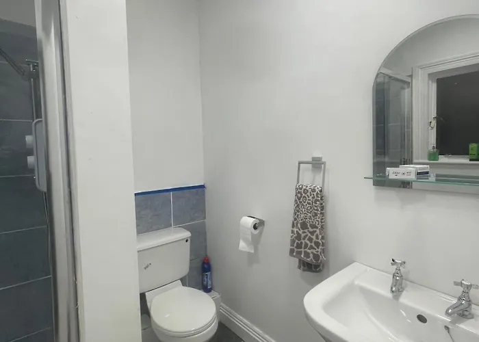 홈스테이 Shannon River House & Gardens Limerick Junction