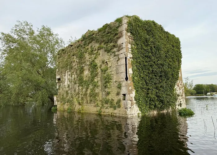 Shannon River House & Gardens *