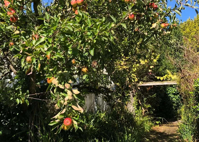 Shannon River House & Gardens * Limerick Junction