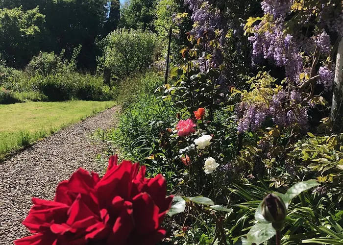 홈스테이 Shannon River House & Gardens *