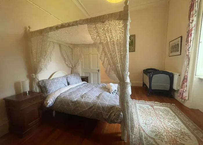 홈스테이 Shannon River House & Gardens Limerick Junction