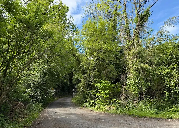 Shannon River House & Gardens Limerick