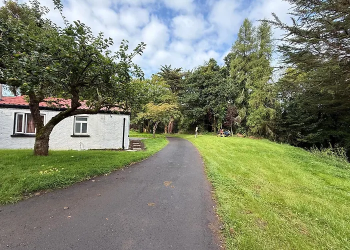 Shannon River House & Gardens Limerick